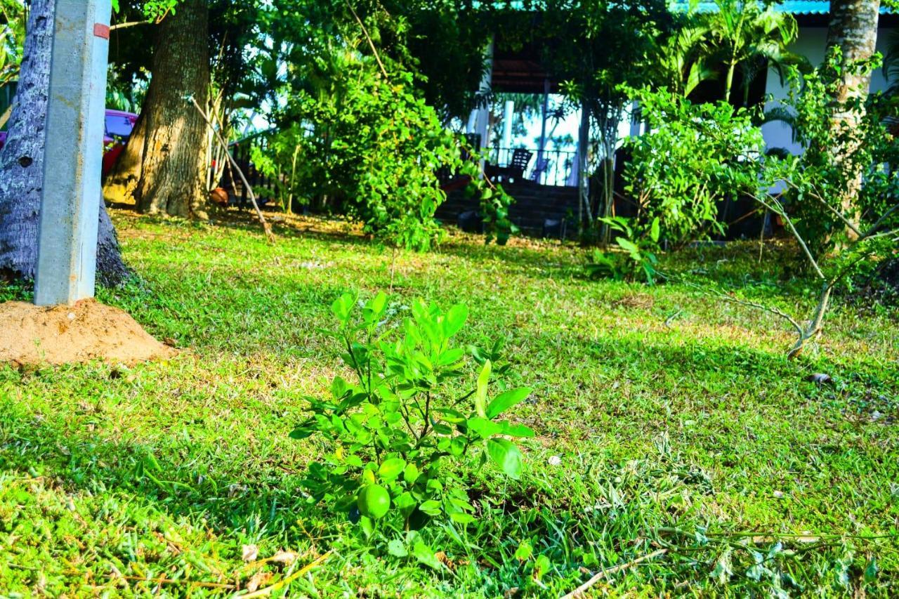 Helios Beach Resort Tangalle Buitenkant foto