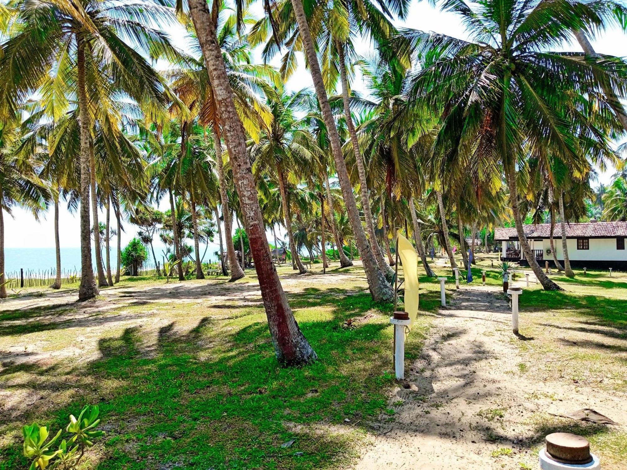 Helios Beach Resort Tangalle Buitenkant foto