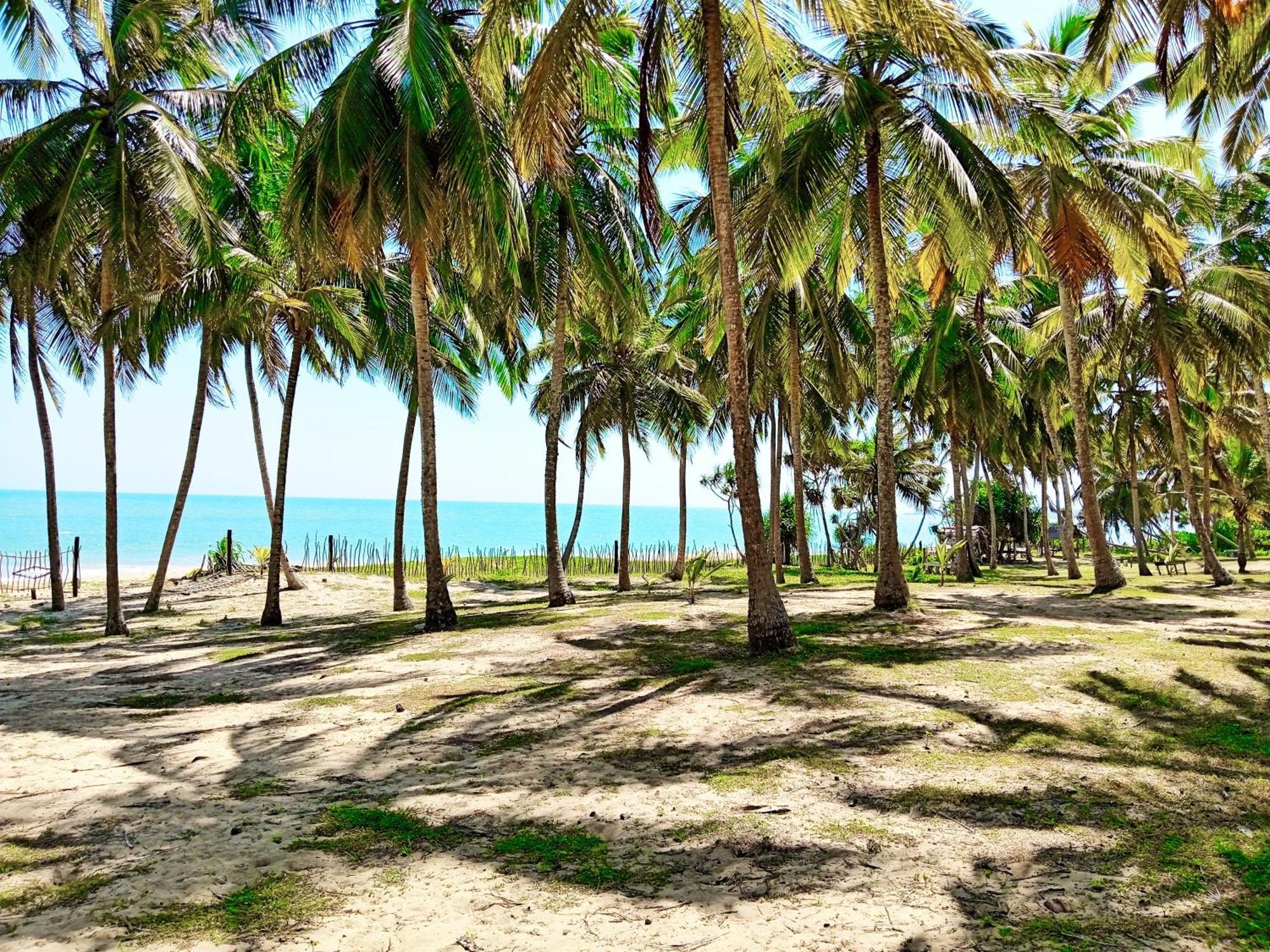 Helios Beach Resort Tangalle Buitenkant foto